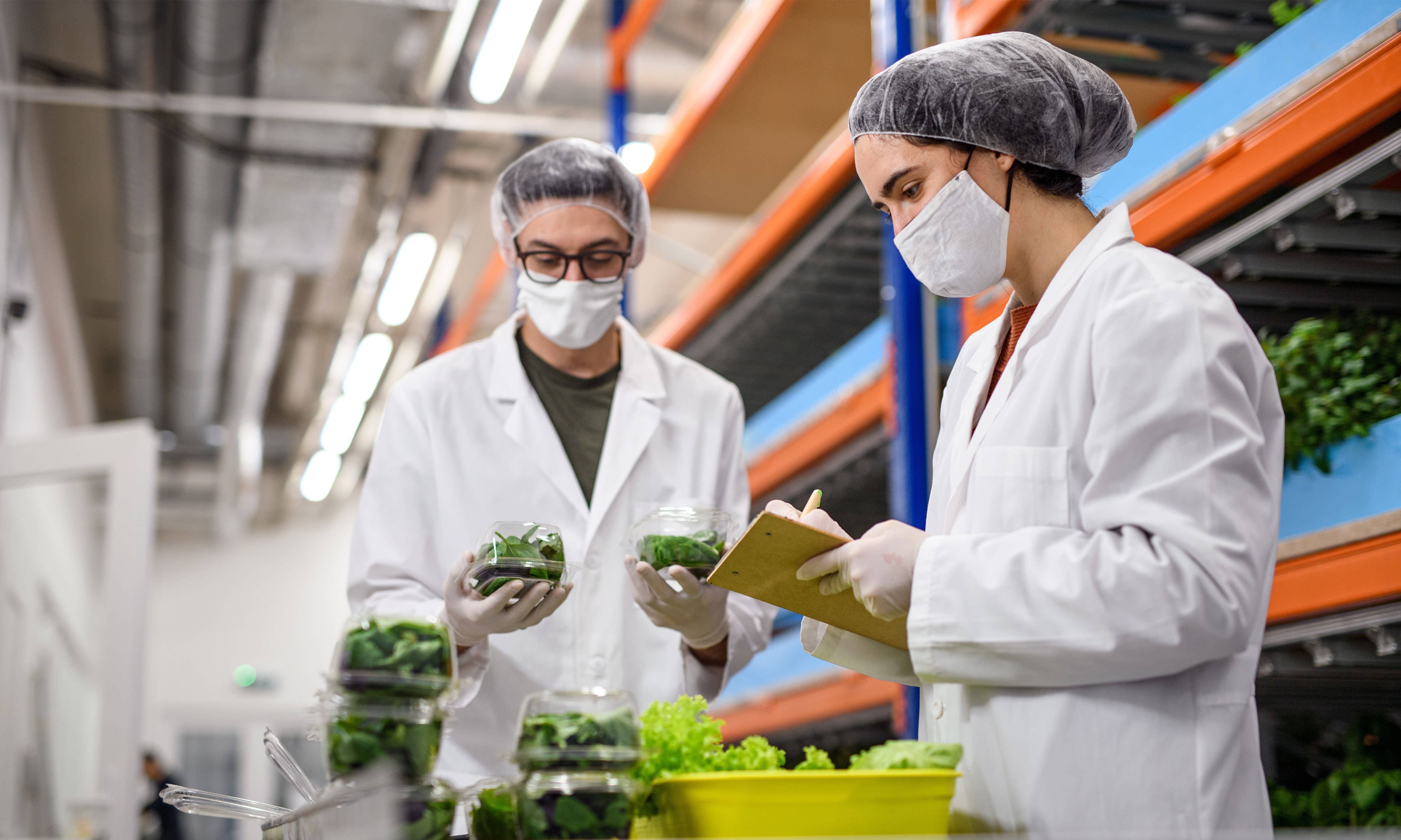 hero-image-food-hygiene-report-2024